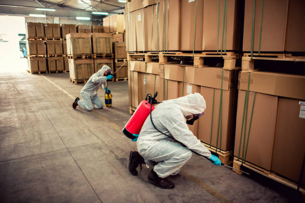 Best Pest Control Near Me in Arthur, IL