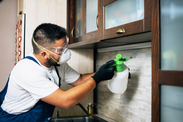 Best Mosquito Control Services  in Arthur, IL