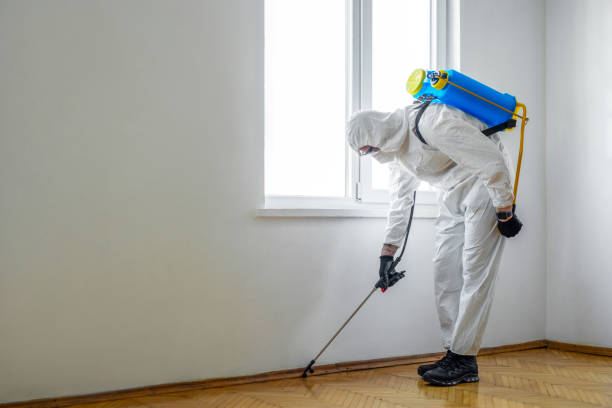 Best Mosquito Control Services  in Arthur, IL