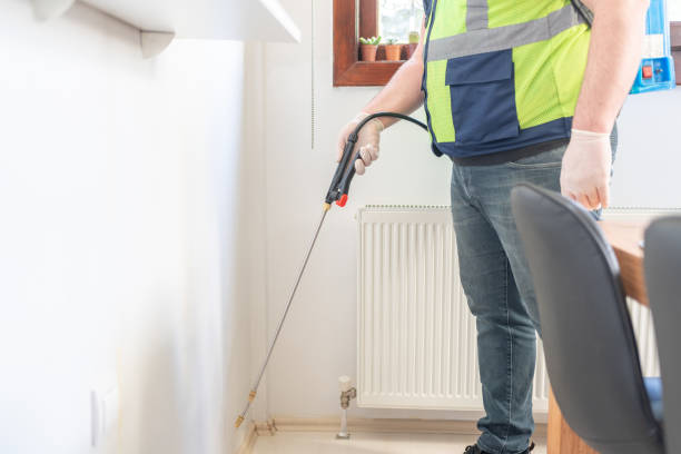 Best Flea Control Services  in Arthur, IL