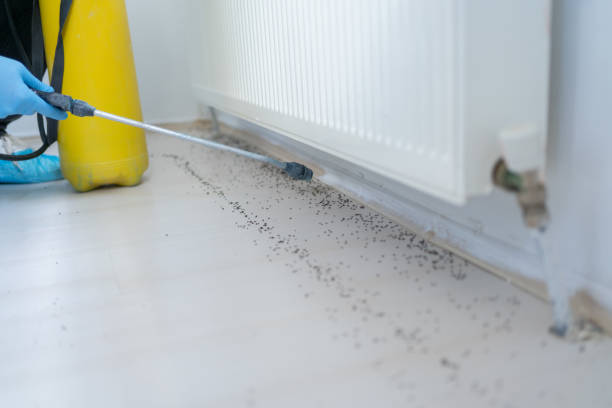Best Pest Inspection Near Me  in Arthur, IL