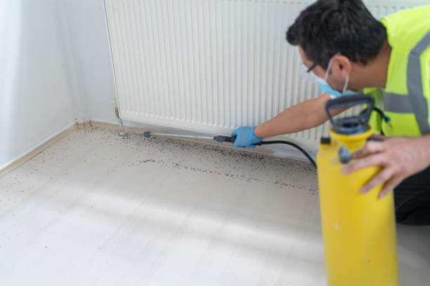 Best Ant Control Services  in Arthur, IL