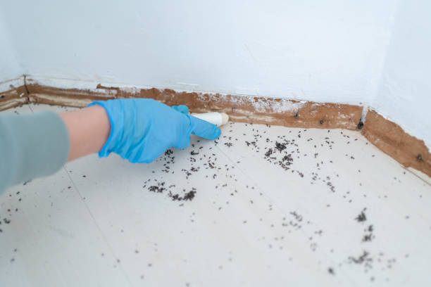 Arthur, IL Pest Control Company