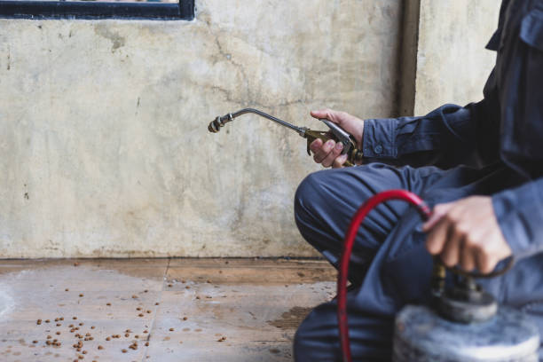 Best Rat Extermination Near Me  in Arthur, IL
