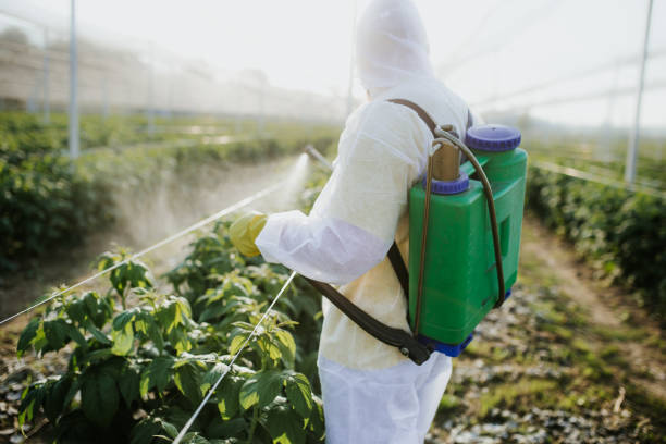 Best Exterminator Services  in Arthur, IL